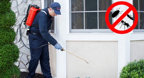 Aslanapa Hamam Böceği İlaçlama böcek ilaçlama ve haşere kontrolü — ilaclama-tr.com